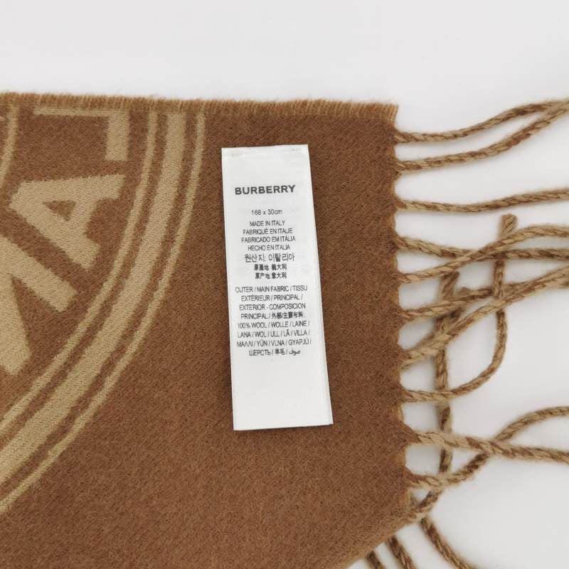 Burberry Wool Colorblocked Monogram Tassel Reversible Scarf